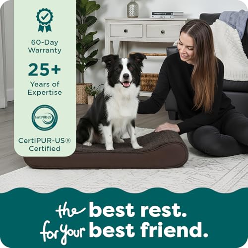 Orthopedic Dog Bed for Large (Large / Chocolate)