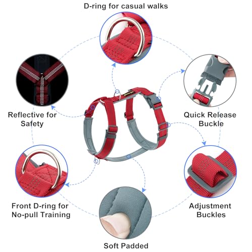 No Pull Dog Harness (L / Red)