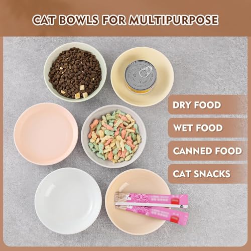 Ceramic Cat Food Bowl Set (Solid - Separate Pads)