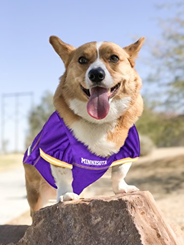 NFL MINNESOTA VIKINGS DOG Jersey (Large / Minnesota Vikings)