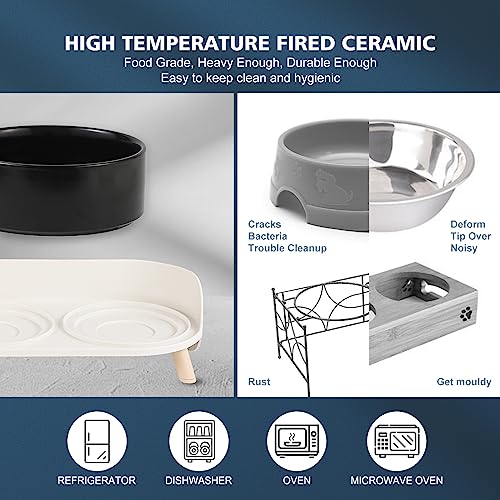Raised Cat Food and Water Bowl Set (Black / Small)
