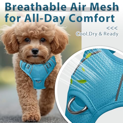 No Pull Dog Harness for Small Sized Dogs (Small(Chest:19.5-26”) / Ocean Blue)