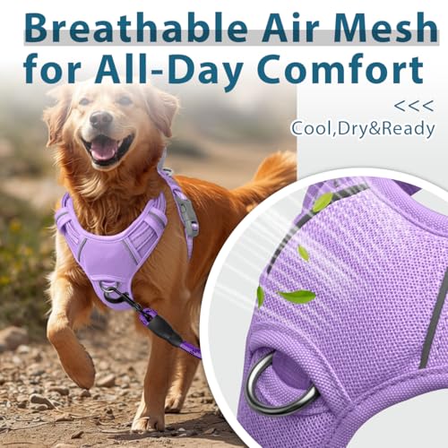 Dog Harness No Pull with ID Tag Pocket (Medium(Chest:22.5-28") / Violet Purple)