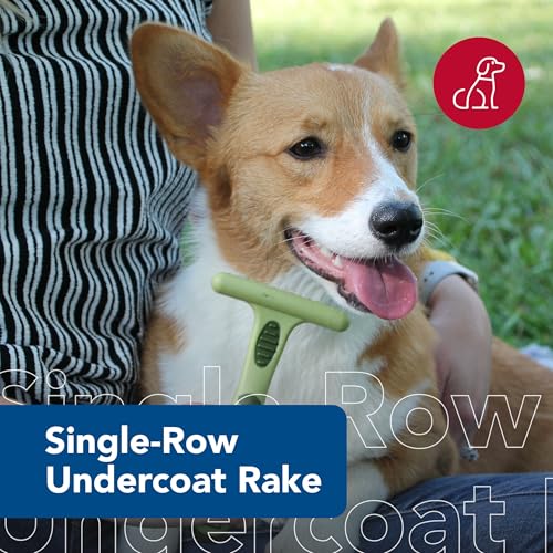 Pet Safari Dog Undercoat Rake (Single Row / 1 Count (Pack of 1))