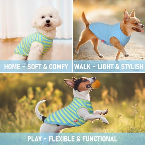 2Pack Cotton Dog Shirt for Small Dogs Soft Striped Tank Top (Small (4-7lbs) / 06# 2Pack (Blue+Striped))
