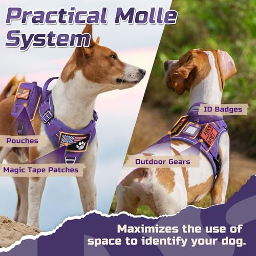 Tactical Dog Harness for X (Purple / X-Large)