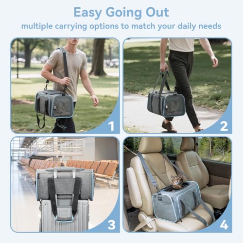 Small Expandable Cat Carrier for Air Travel (16"L x 10"W x 9"H / Light Gray)