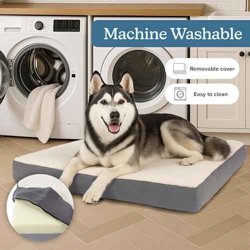 Orthopedic Dog Bed (Gray / X-Large)