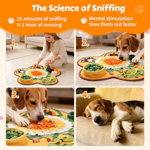 Snuffle Mat for Dogs (Flower)