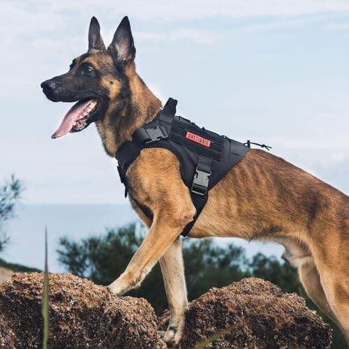Tactical Dog Harness Vest No (X-Large / Black)