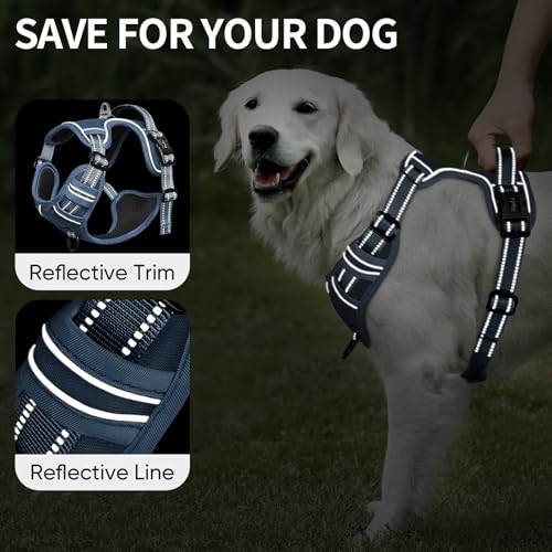 Dog Harness for Medium Dogs No Pull Dog Vest Harness with Soft Padded Handle Reflective for Outdoor Training (M / Royal Blue)