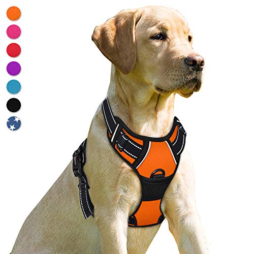 Dog Harness No Pull for Small Sized Dog Front Back Clips (Small(Chest:19.5-26") / Orange)