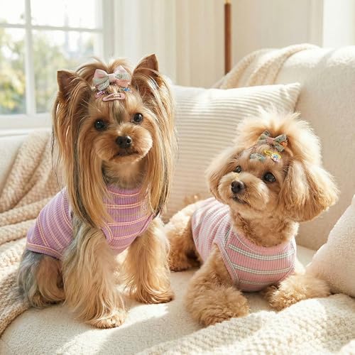 2Pack Dog Shirt Cotton Striped T (Purple Pink + Pink Blue / 2XL(Back: 19.7", Chest: 25.6", 29.8-40.8lbs))