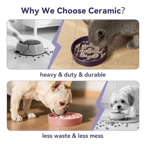 Ceramic Slow Feeder Dog Bowl (Orange / Small without Stand)