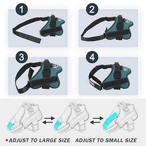 Dog Harness No (Small (Pack of 1) / Turquoise)