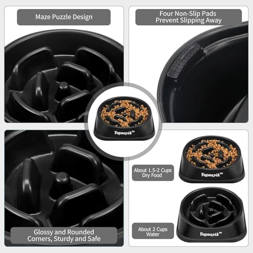 Slow Feeder Dog Bowls for Medium Dogs & Cats (Medium / Black)