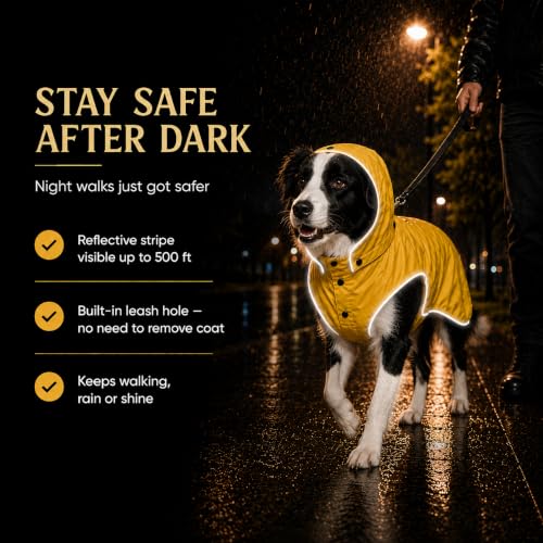 Dog Raincoat for Medium to Large Dogs (Large)
