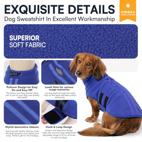 Small Dog Sweater (Blue / X-Small)