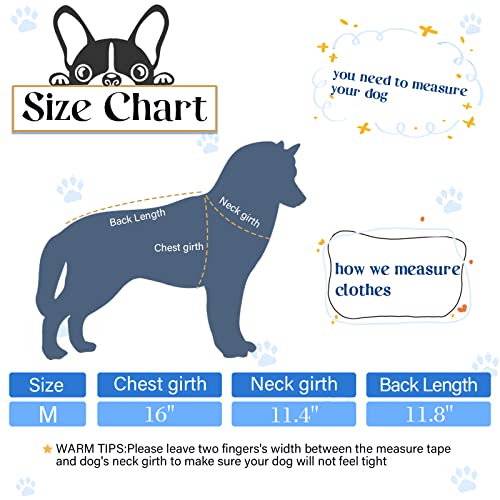 8 Pcs Dog T Shirts Printed Funny (Medium)