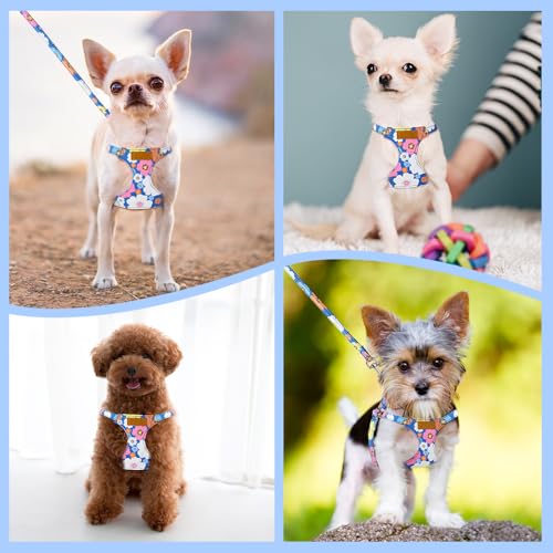 No Pull Dog Harness with Leash for Small Medium Dogs (Small(11-17.5lb) / Blue Flower)
