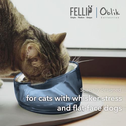 Pet Oblik Whisker Fatigue Cat Food Bowl Raised Stainless Steel Shallow Dish (Shadow / 0.5 Cups Shallow Dish)
