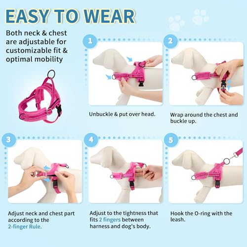 No Pull Small Dog Harness and Leash Set with Front Clip (XX-Small / Fuchsia)