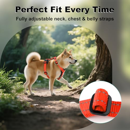 No Pull Dog Harness with Leather Accents (L / Orange)