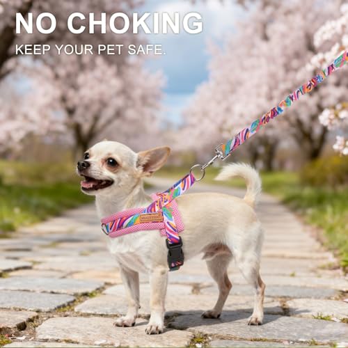Dog Harness Medium Sized and Leash Set (Mix Pink / M: Chest 21"-26.7")