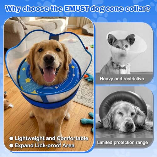 Inflatable Dog Cone Collar with Removable Clear Protective Shield (Blue / L (Neck 12.5"-15"))