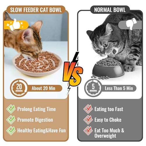Elevated Slow Feeder Cat Bowls (apricot)
