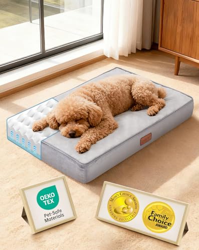 Orthopedic Waterproof Small Dog Bed (24"x 16"x 3” (For Sprawling) / 01-Gray)