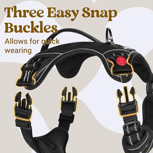 Large Dog Harness (Medium / Black)