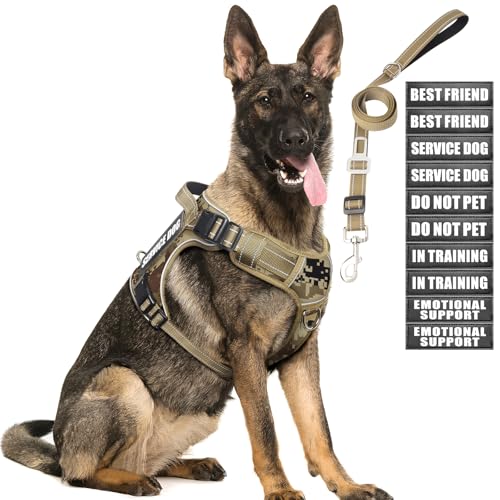 Tactical Dog Harness and Leash Set with 10 Patches for Large Dogs (Large / Desert Camo)
