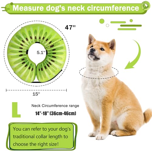 Recovery Donut Collar for Dogs & Cat (Kiwi / L（neck 14"-18"）)