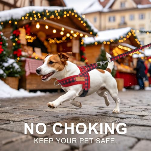 Small Dog Harness and Leash Set (Buffalo Red / S: Chest 17.5"-22")