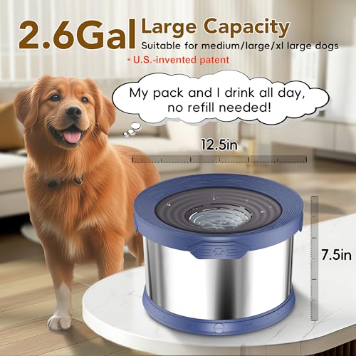 10L Dog Water Bowl No Spill Stainless Steel for Slow Drinking Blue (10L / Blue)