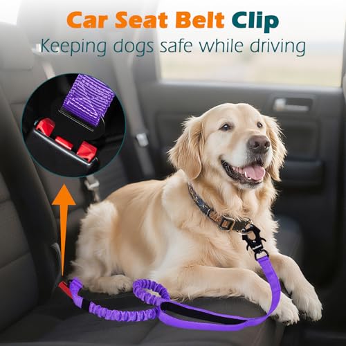 Heavy Duty Tactical Dog Leash (Purple)