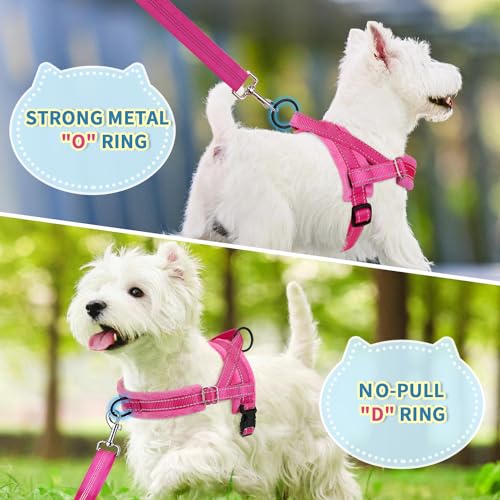No Pull Small Dog Harness and Leash Set with Front Clip (XX-Small / Fuchsia)