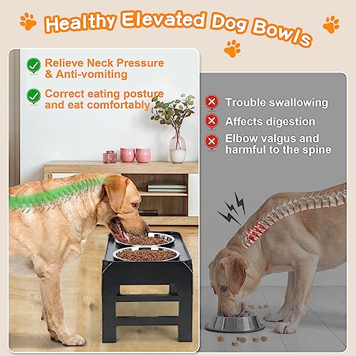 Elevated Dog Bowls (Black / 8" for Medium Dogs)