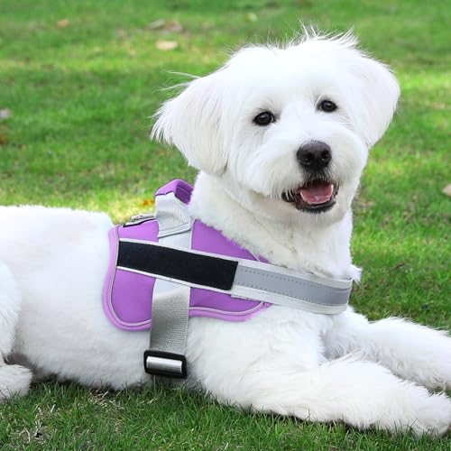 Dog Harness No (Large (Pack of 1) / Lavender)