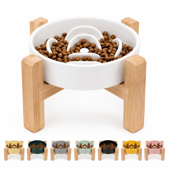 Elevated Slow Feeder Ceramic Dog Bowls 8.26in (White / 8.26in)