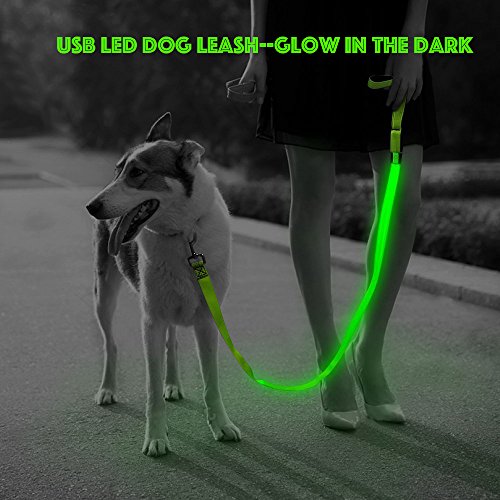 LED Dog Leash (GreenⅠ)