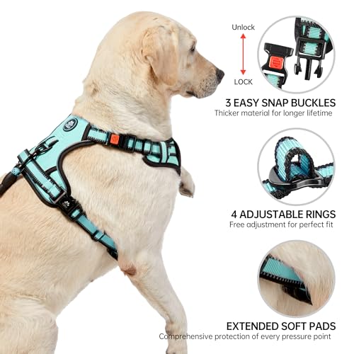 Reflective Dog Harness for Large Dogs (Turquoise / Large)