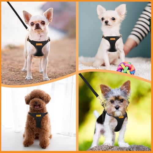 No Pull Dog Harness with Leash for Small Medium Dogs (Small(11-17.5lb) / Solid Black)