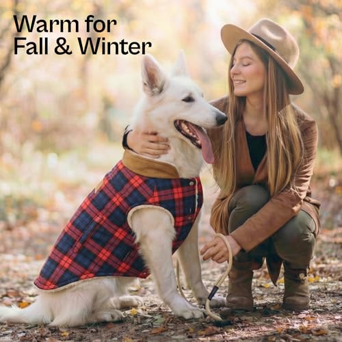 Dog Jacket Scottish Red Plaid Dog Outfit (XL / Scottish Red)