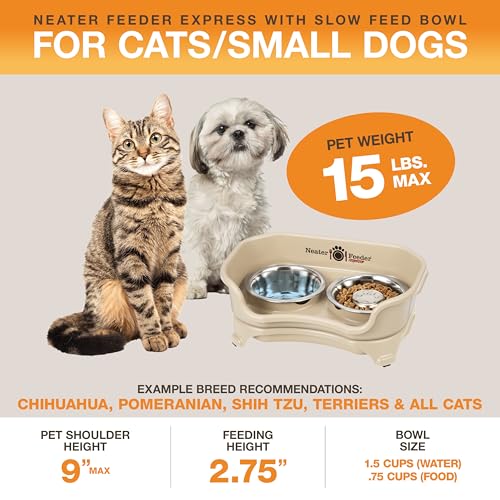 Express Mess Proof Dog Bowls Elevated for Small Breed (Small w/ Metal Slow Feed Bowl / Almond)
