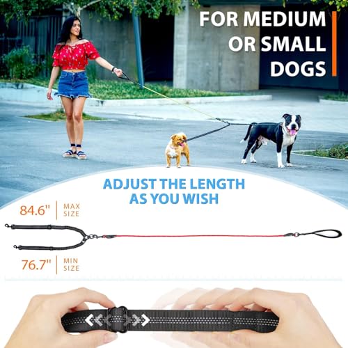 Double Dog Bungee Rope Leash for 2 Small Dogs (Red)