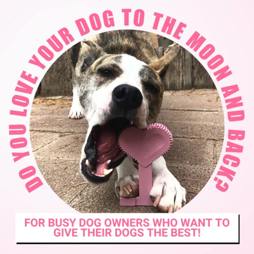 Nylon Dog Chew Toy for Aggressive Chewers (Small - Single)