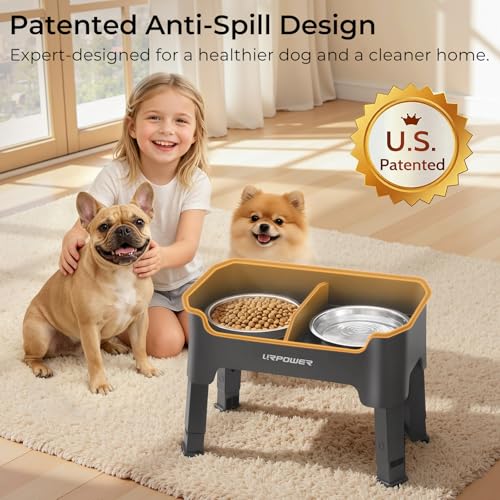 Mess Proof Elevated Dog Bowls (Grey / Small)