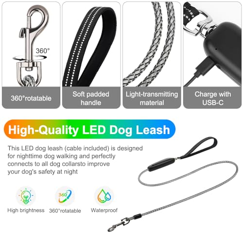 Light Up Dog Leash (Colorful / 5 feet)